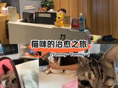 -御宝贝·A梦猫科宠物医院(国际猫友好医院)