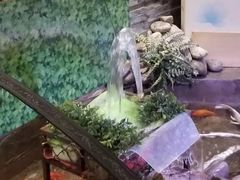 -向阳庄烧烤店(望京西园店)