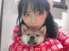 -逗柴咖啡屋·狗咖猫咖宠物桌游