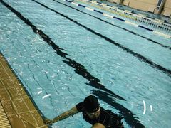 -南京大学游泳馆