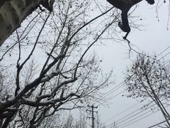 -上海市皮肤病医院(武夷路院区)