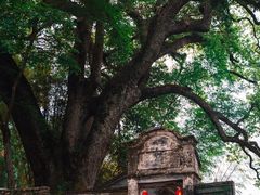 -楠溪江风景名胜区