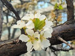 -李叔同故居纪念馆