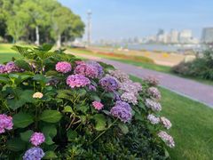 -北外滩滨江绿地