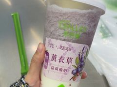 -茶芭蕾·新疆酸奶(美美1店)