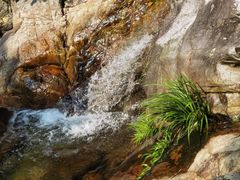 -天门沟九州驿站树上汤泉