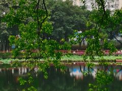 -荔湾湖公园