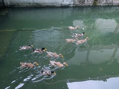 -浙江省博物馆(孤山馆区)