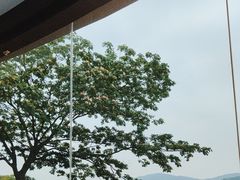 -水上明月·湖景餐厅