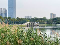 -南宁南湖公园
