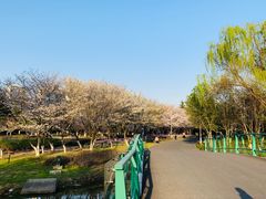 -白塘生态植物园