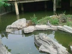 -南昌动物园