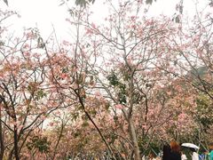 -小南山公园