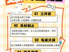 -瑞派天使宠物医院·神经外科·骨科·核磁CT(洛川中路店)