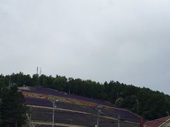 -富田农场