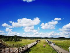 -塞罕坝国家级自然保护区