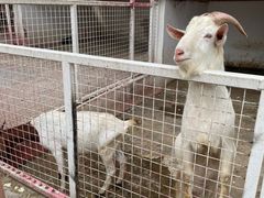 -金庭庄园酒店-停车场