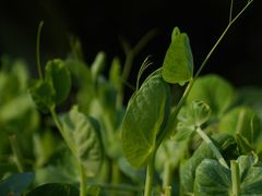 -任达丞国农庄(任达山庄店)