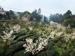 -樱桃山旅游景区