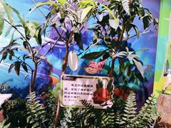 -正佳雨林生态植物园