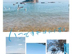 -棒棰岛宾馆景区
