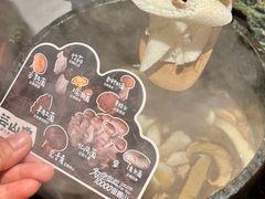 -芸山季·云南山珍菌火锅(人民广场来福士店)