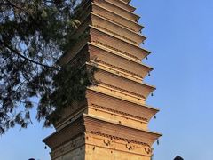 -洛阳白马寺