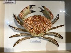 -中国湿地博物馆