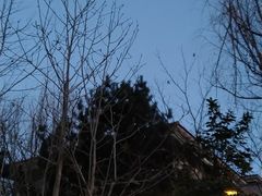 -金石唐风国际温泉会馆