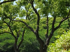 -苏州上方山国家森林公园