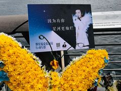 -星光大道