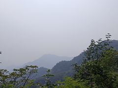 -大岭沟猕猴桃谷风景区