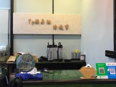 -七叔是岛民(花基新村店)