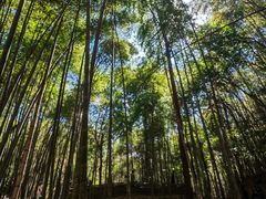 -敬亭山风景名胜区