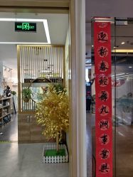 -卓拓普拉提