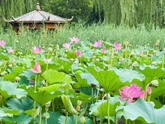 -太阳宫公园