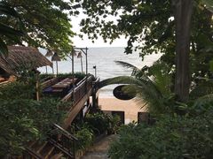 -卷心菜和避孕套餐厅(Pattaya)