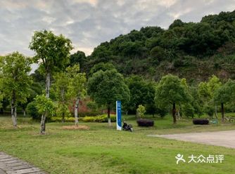 福州大学生来探店啦|日料之小条食堂