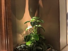 -浅深(北京北四环精品店)