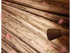 -拉面莊夢語＆中华料理八椿