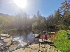 -五营红松林海景区