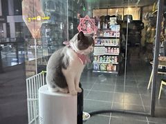 -萌兽医馆·眼科·异宠专科(三里屯店)