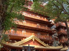 -大佛寺高级素食自助餐厅