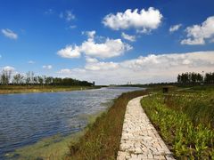 -春花秋色城市公园