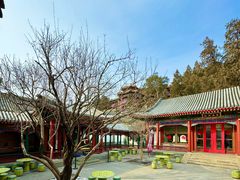 -宫事颐庭·老佛爷贵寿下午茶(颐和园店)