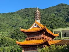 -深圳仙湖植物园