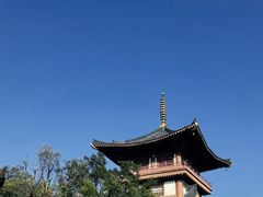 -马峦山郊野公园