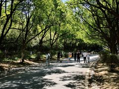 -南京市江宁方山