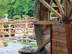 -广州白江湖森林公园