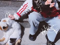 -于记沙布袋馄饨